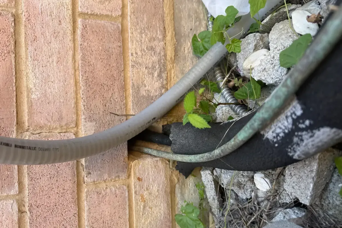 Gap around a utility line entering a brick wall. Rodent Control Articles.