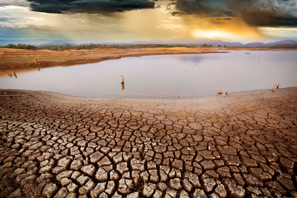 Does Climate Change Cause More Pests in Your Home?