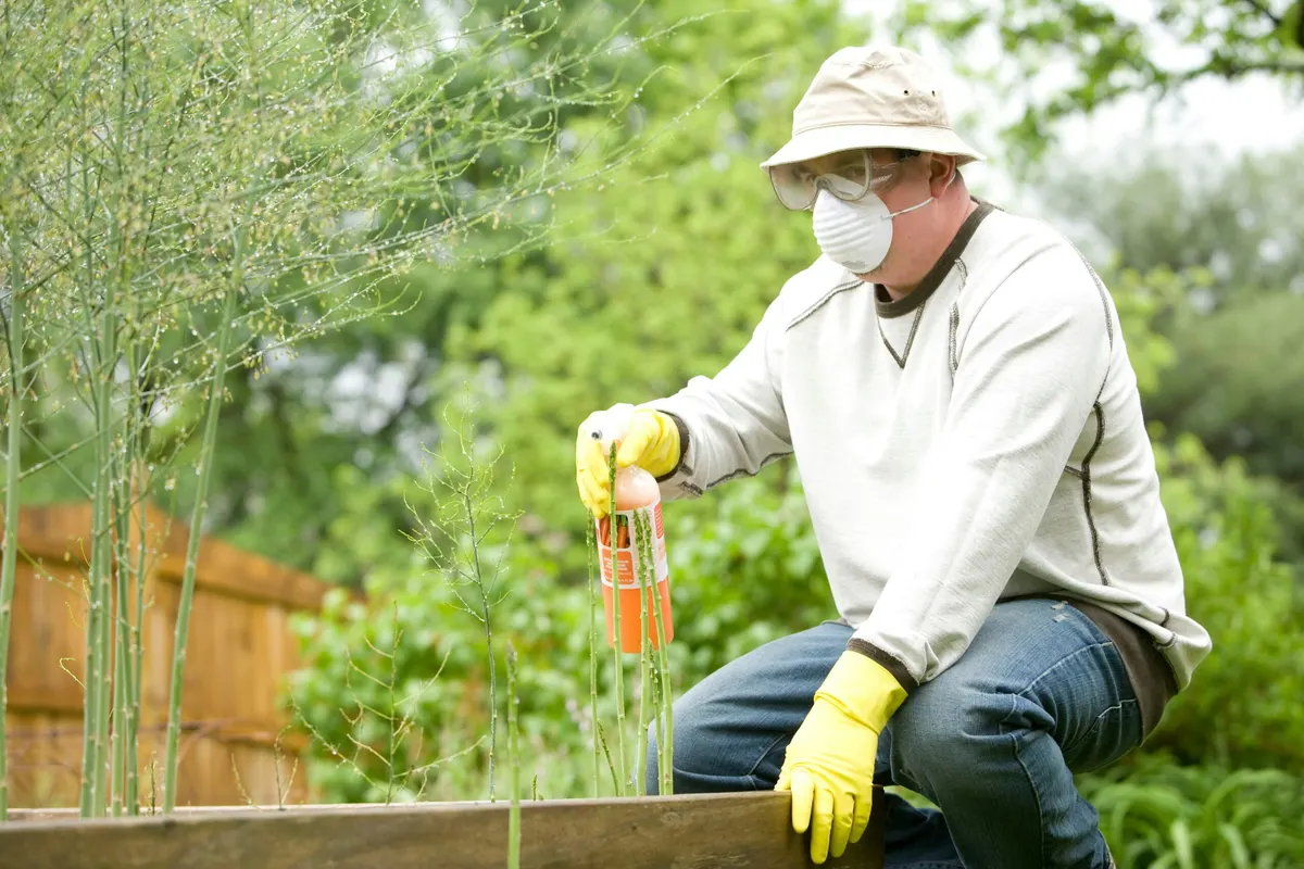 The Ultimate Guide to Preventative Pest Control