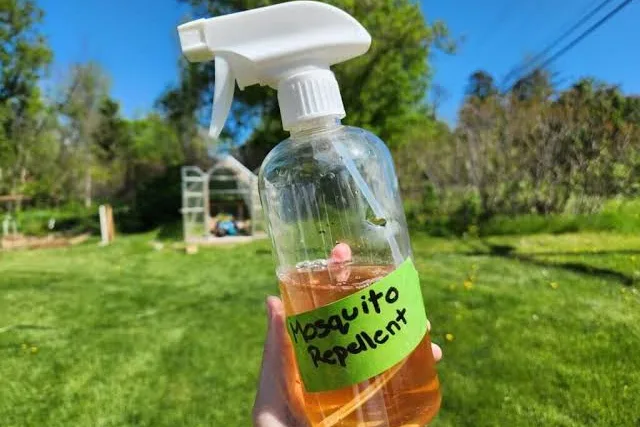 Homemade mosquito repellent spray bottle. Pest Control Education & Guides.