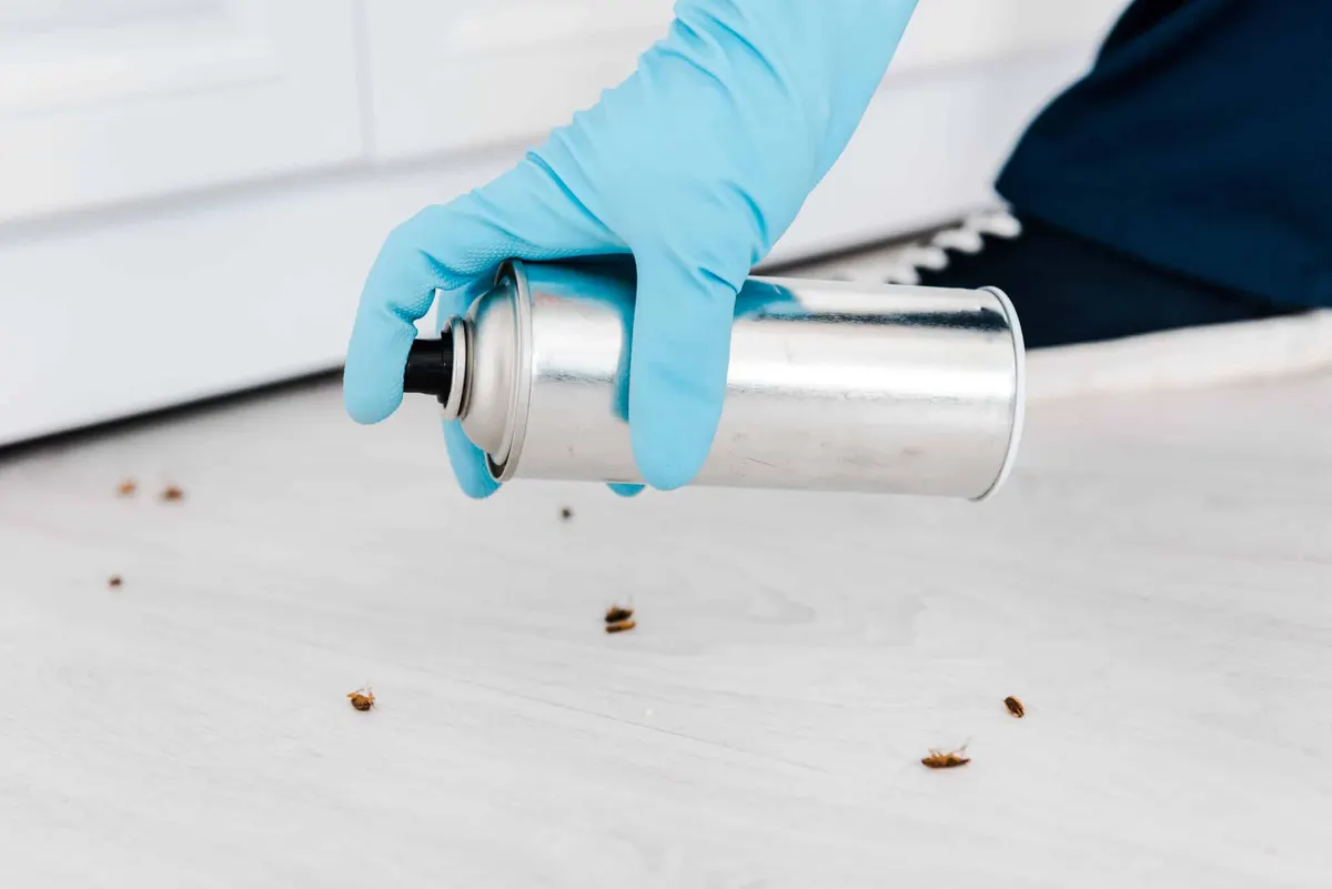What Home Remedies Repel Pests?