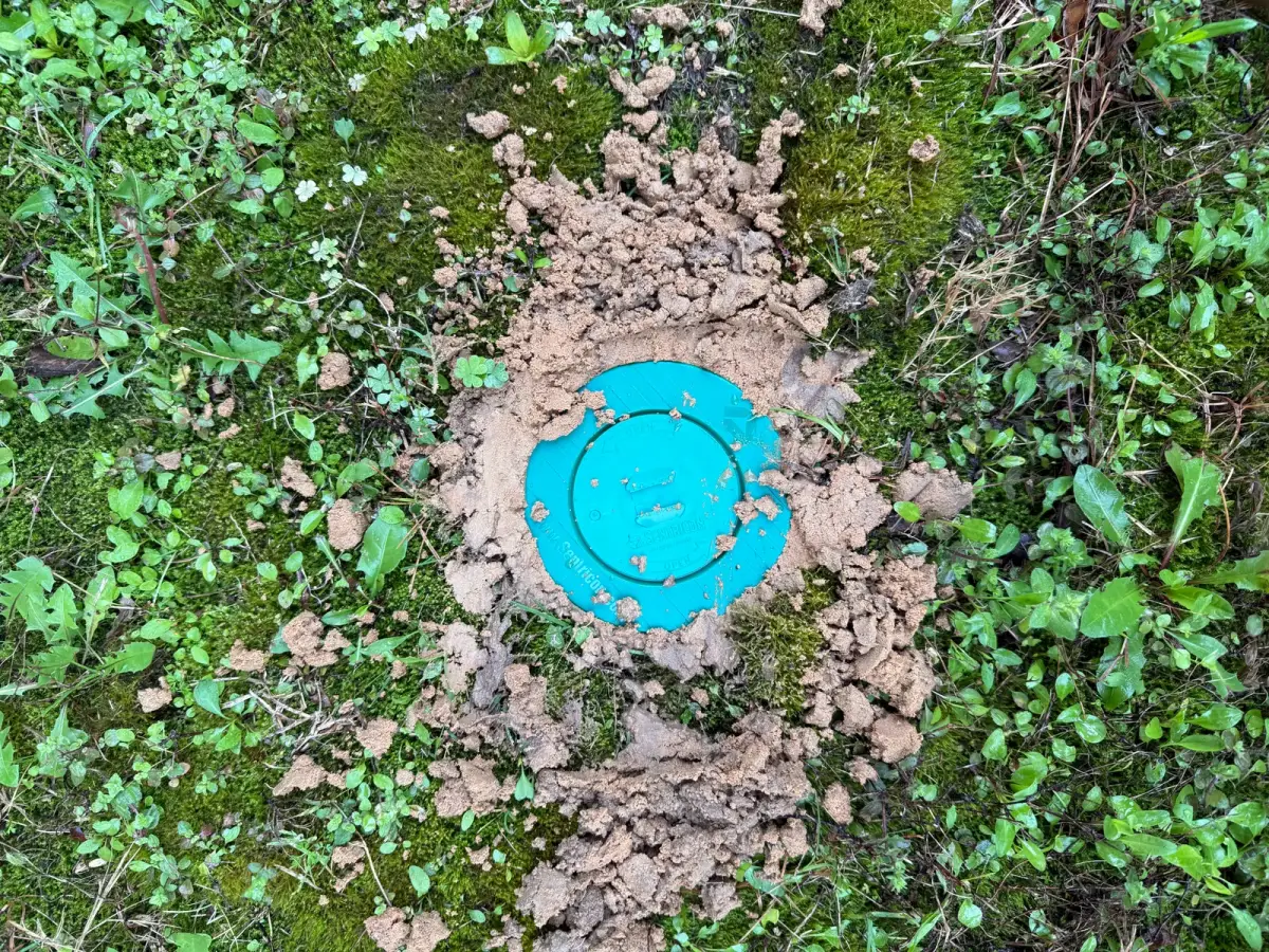Sentricon termite bait station installation